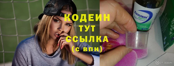 прущие крисы Абаза
