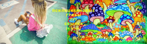 трава Абинск