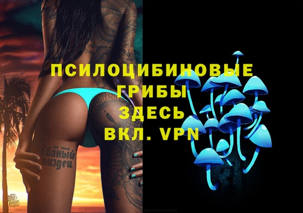 МДПВ Алексеевка