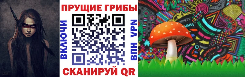 где купить   Нягань  Галлюциногенные грибы Cubensis 